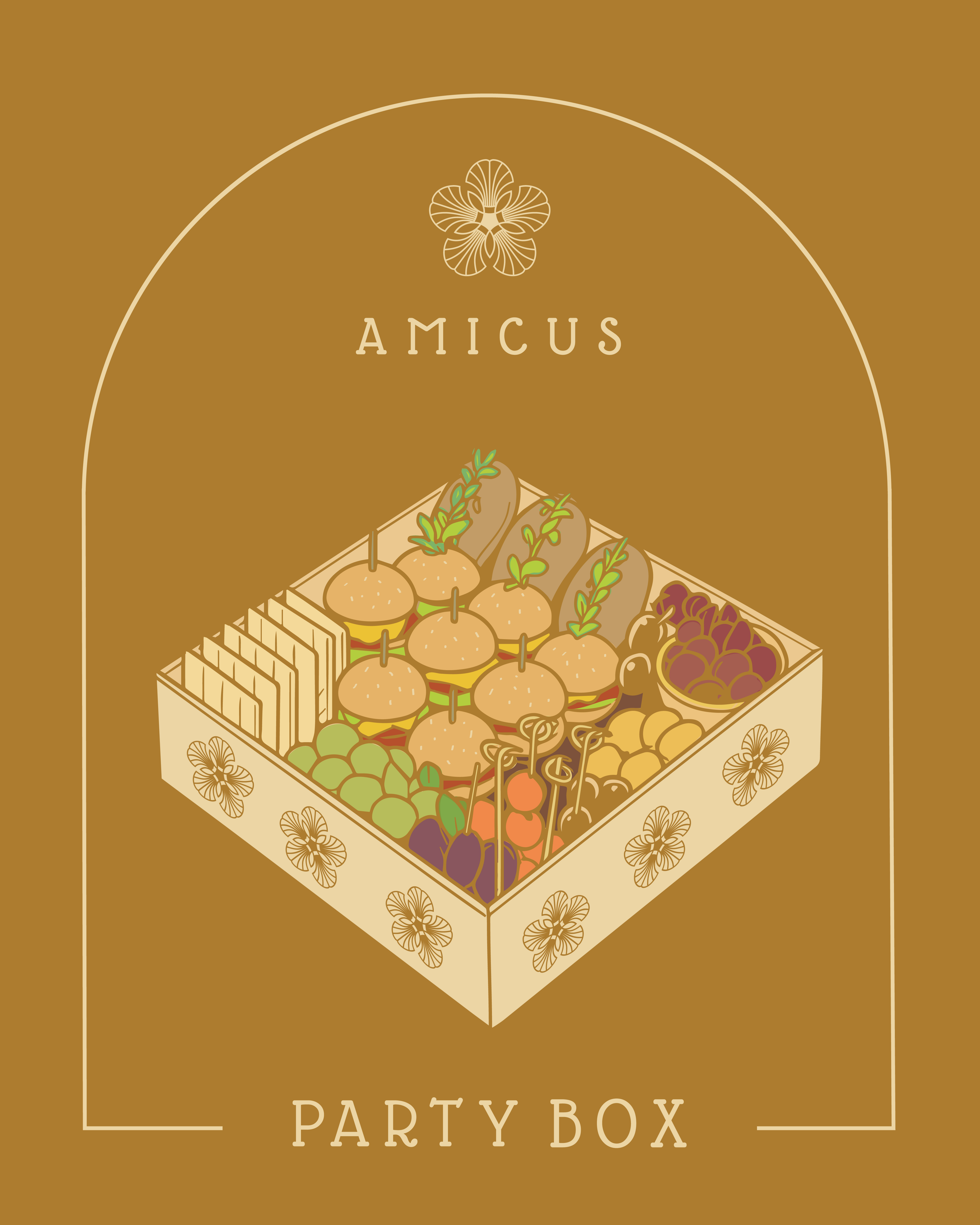 Amicus Party Box